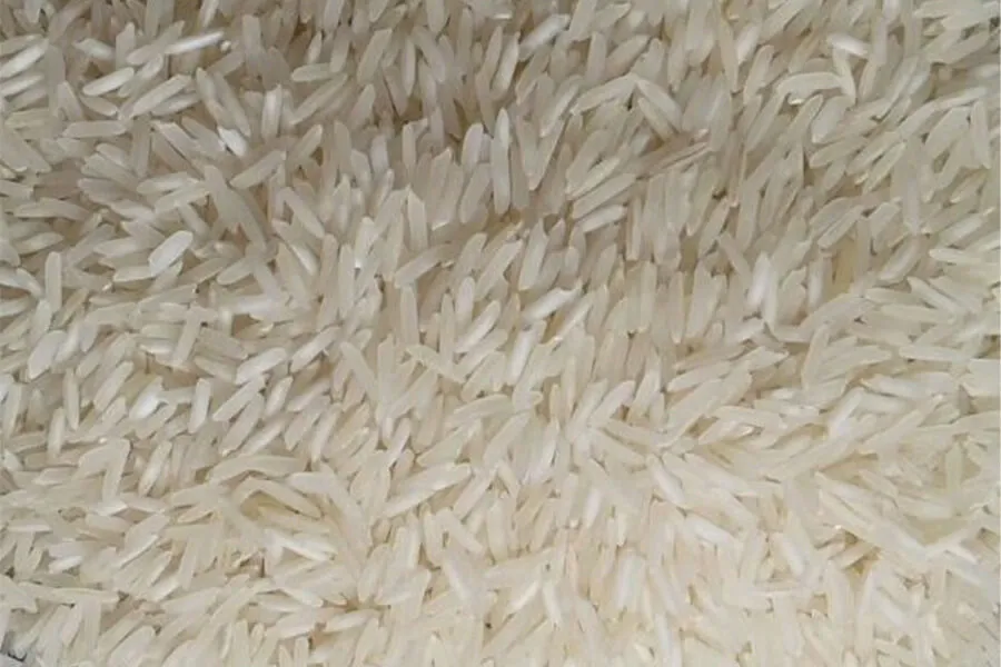 Sona Masoori Raw Rice
